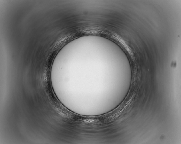 X0000101100161200806261053