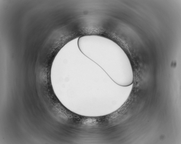 X0000101100162200806261053