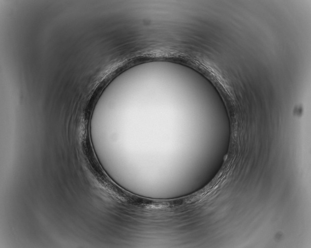 X0000101100164200806261053