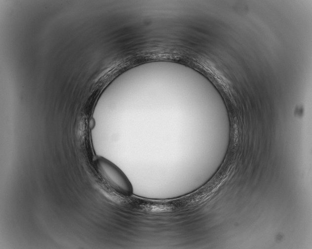 X0000101100165200806261053
