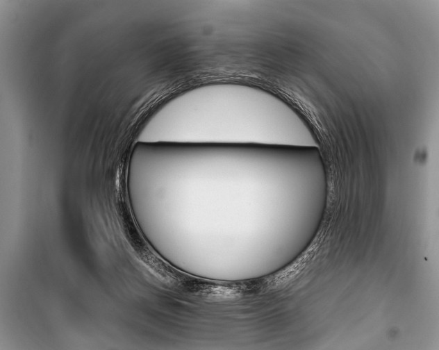 X0000101100166200806261053