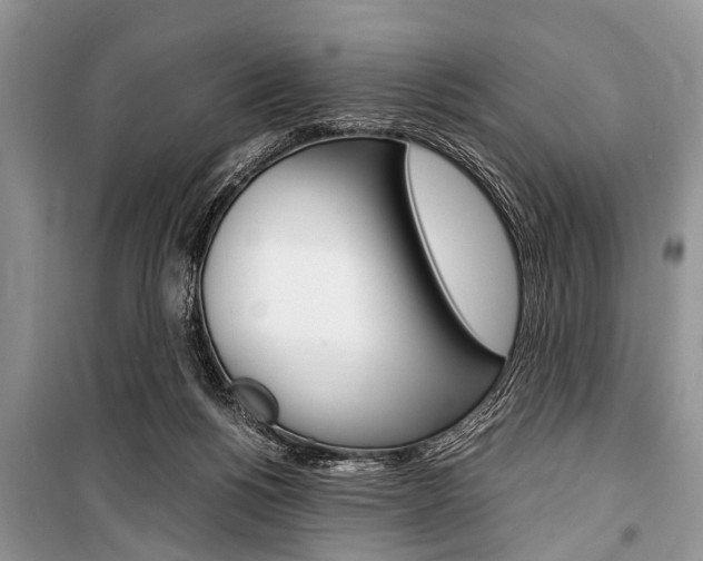 X0000101100168200806261053