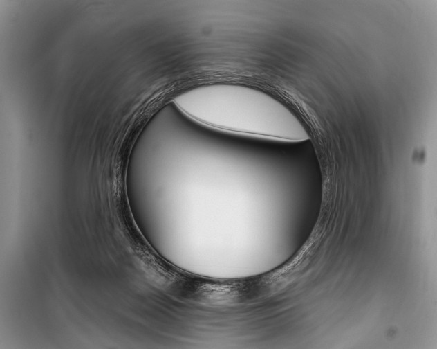 X0000101100170200806261053