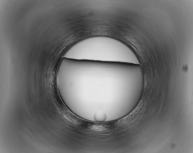 X0000101100171200806261053