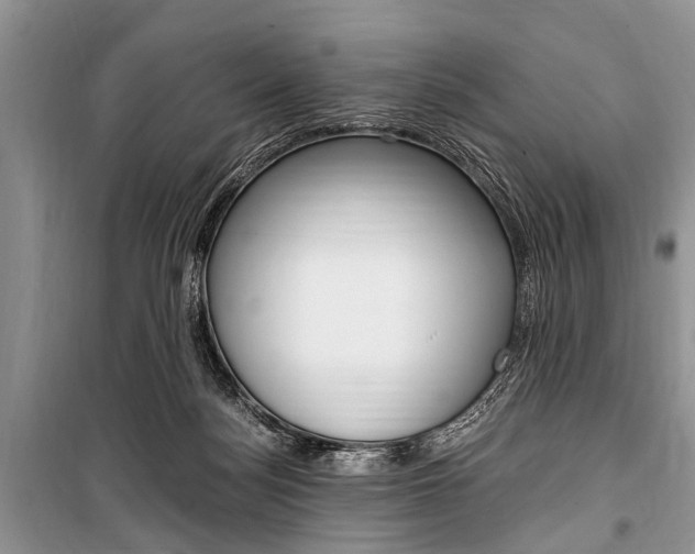 X0000101100172200806261053
