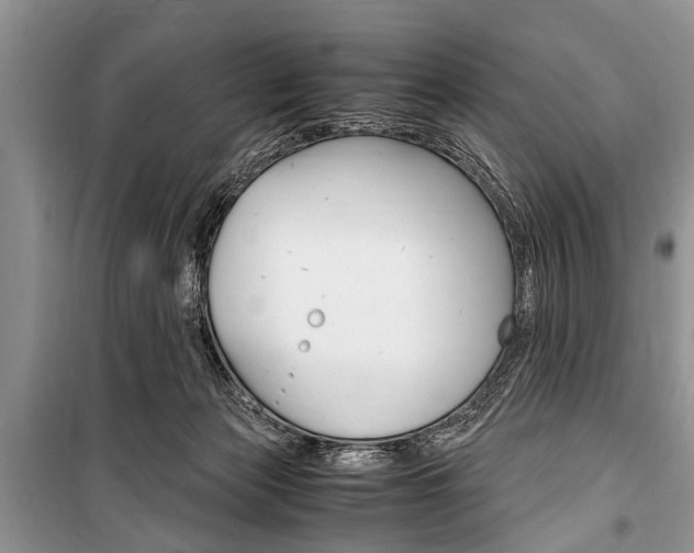 X0000101100173200806261053