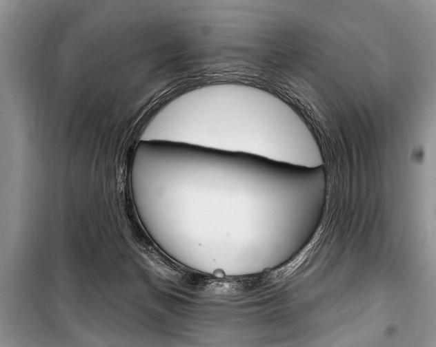 X0000101100174200806261053