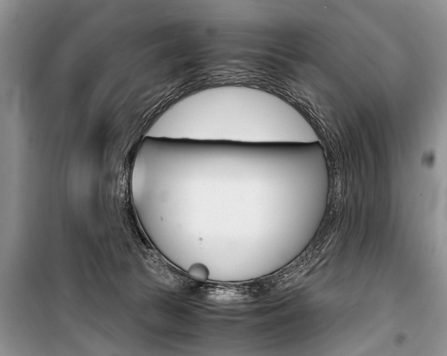 X0000101100177200806261053