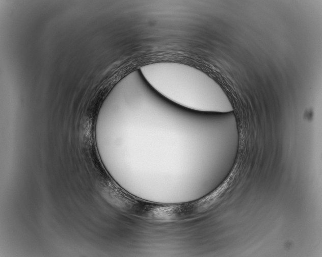 X0000101100178200806261053