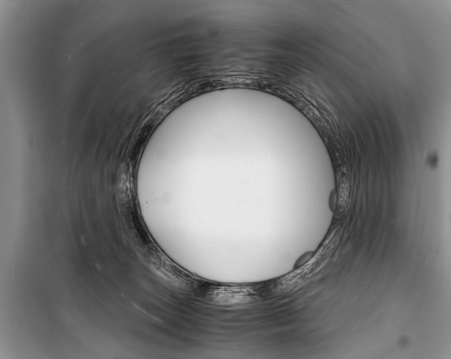 X0000101100179200806261053