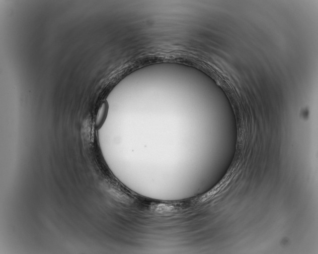 X0000101100180200806261053