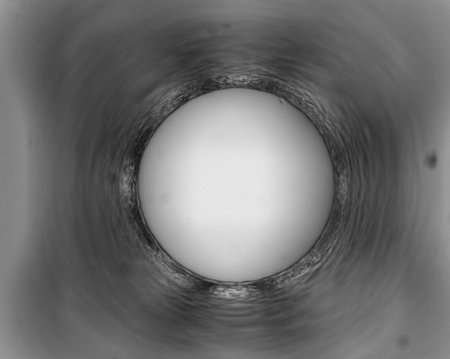 X0000101100181200806261053