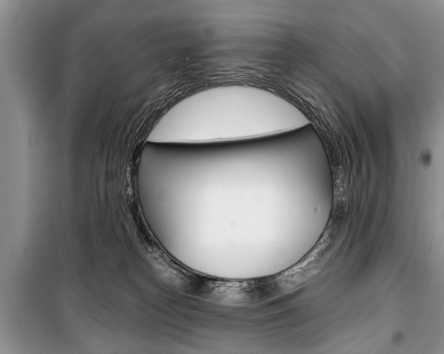 X0000101100182200806261053