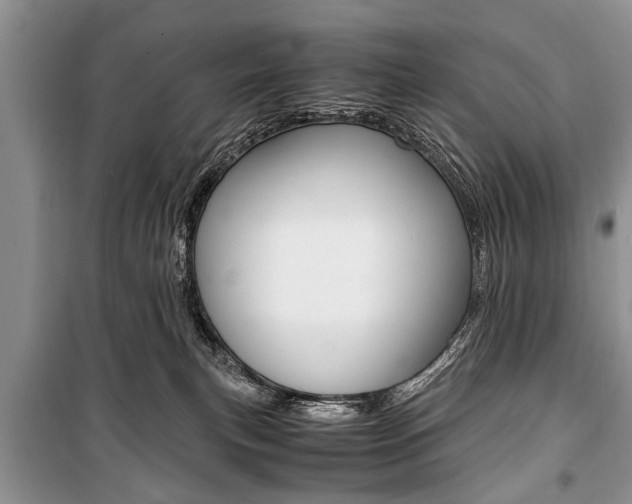 X0000101100183200806261053