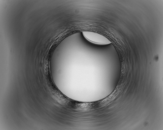 X0000101100184200806261053