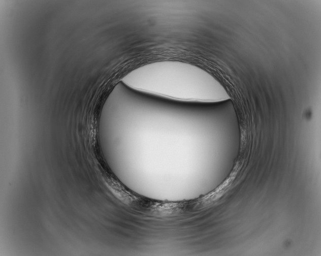 X0000101100186200806261053
