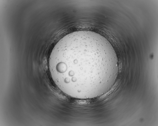 X0000101100187200806261053