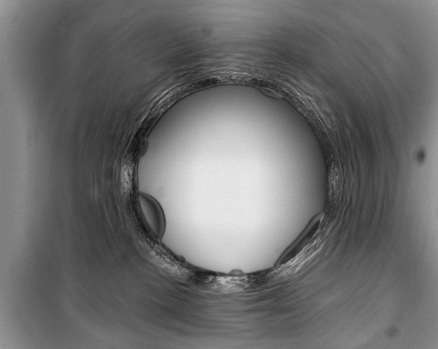 X0000101100188200806261053