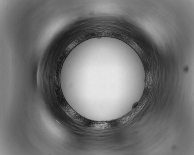 X0000101100189200806261053