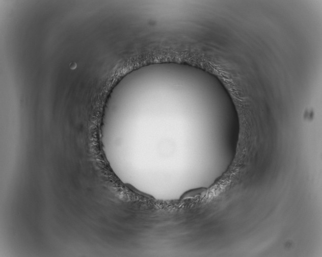 X0000101100192200806261053
