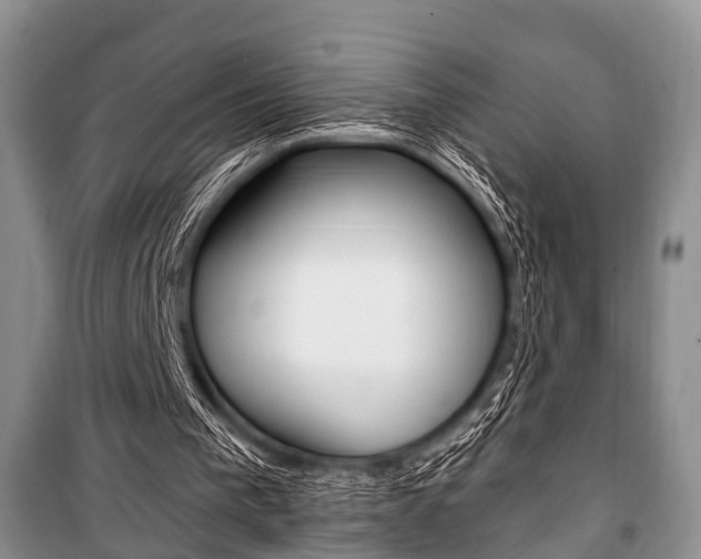 X0000101100193200806261053