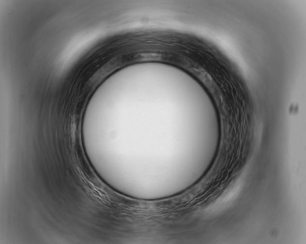 X0000101100194200806261052