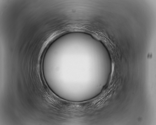 X0000101100195200806261052