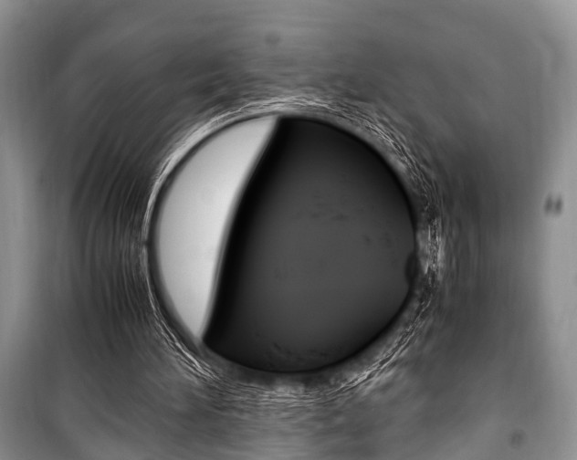 X0000101100196200806261052