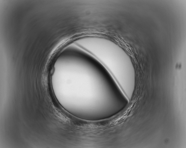 X0000101100197200806261052