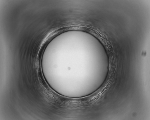 X0000101100198200806261052