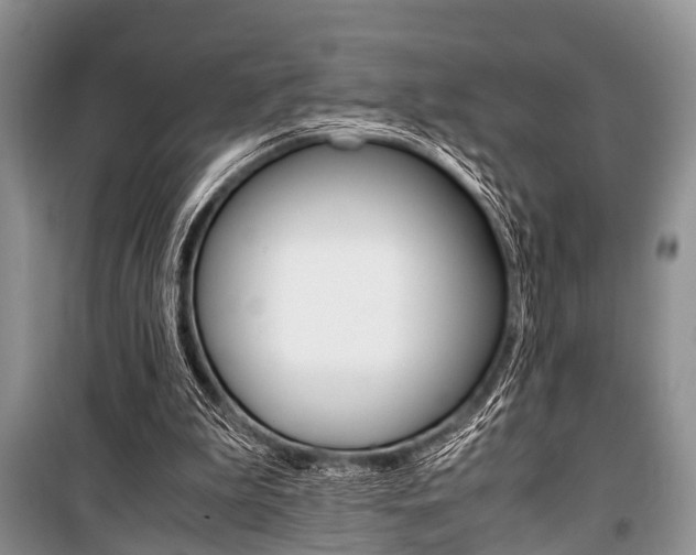 X0000101100199200806261052