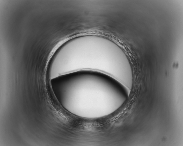 X0000101100200200806261052