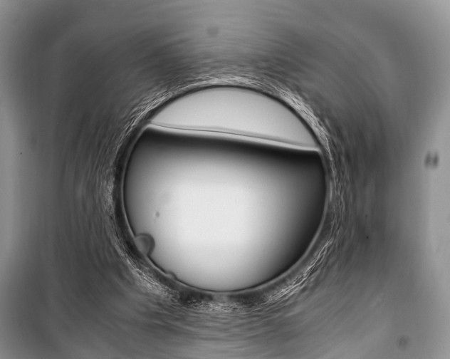 X0000101100201200806261052