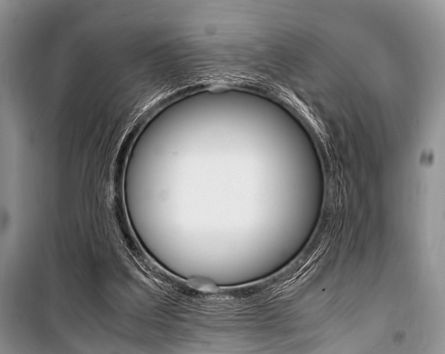 X0000101100203200806261052