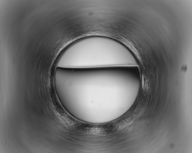 X0000101100204200806261052