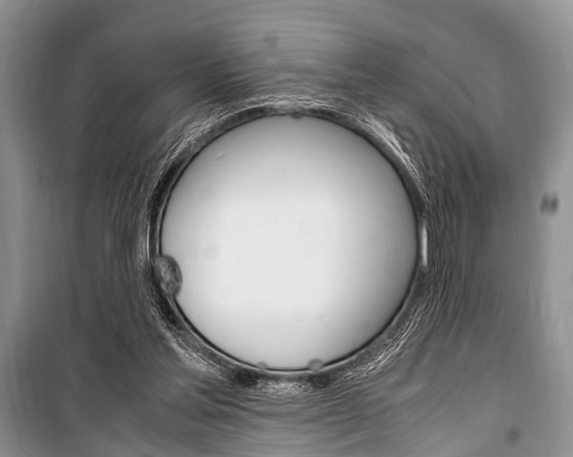 X0000101100205200806261052