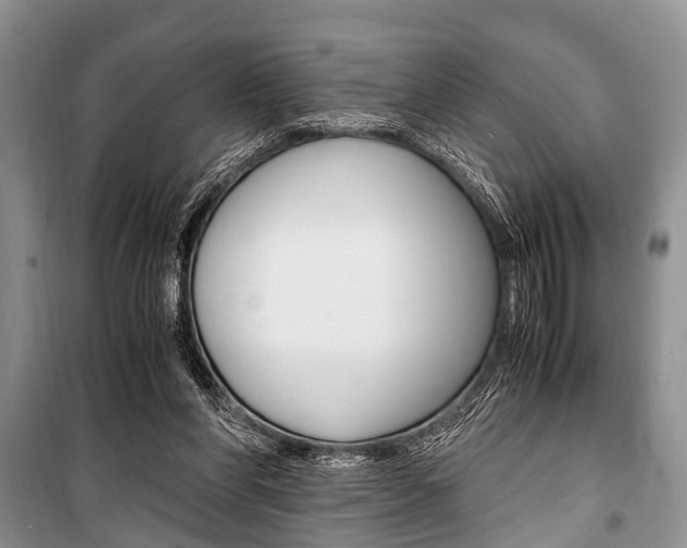 X0000101100206200806261052