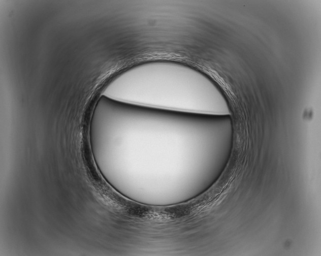 X0000101100207200806261052