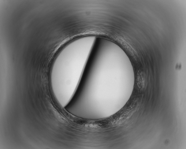 X0000101100208200806261052