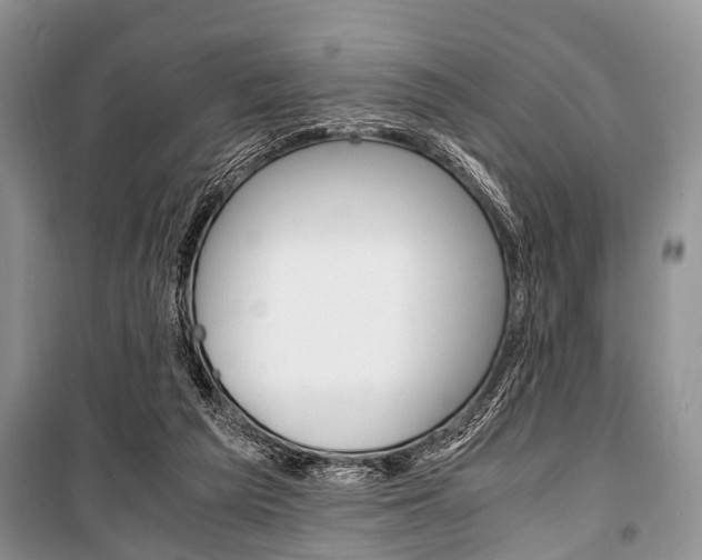 X0000101100209200806261052