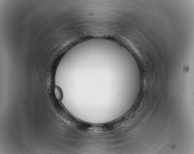 X0000101100211200806261052