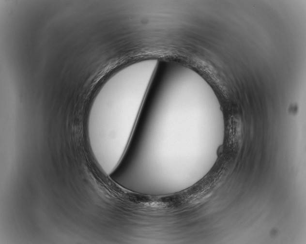 X0000101100212200806261052