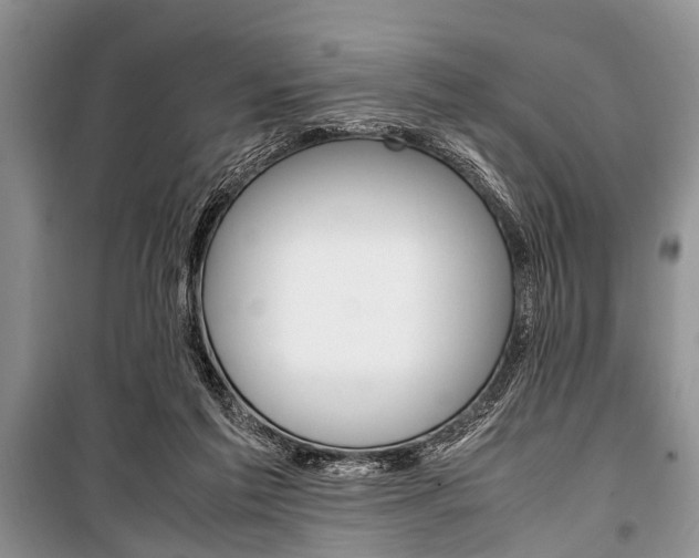 X0000101100213200806261052