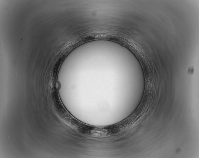 X0000101100215200806261052