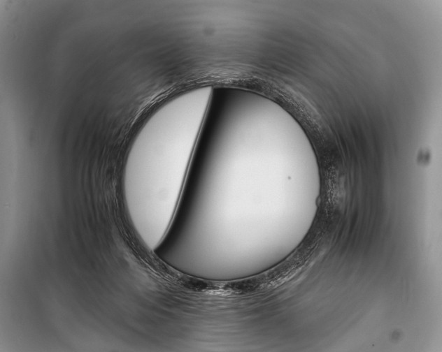 X0000101100216200806261052