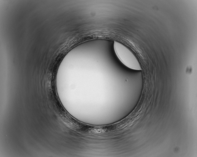 X0000101100217200806261052