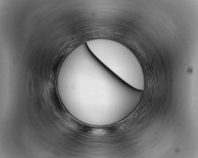 X0000101100218200806261052