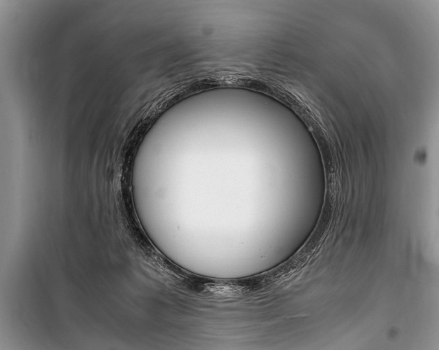 X0000101100221200806261052