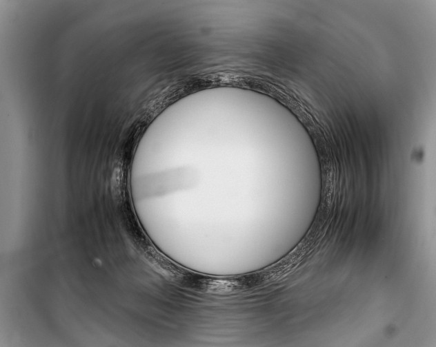 X0000101100222200806261052