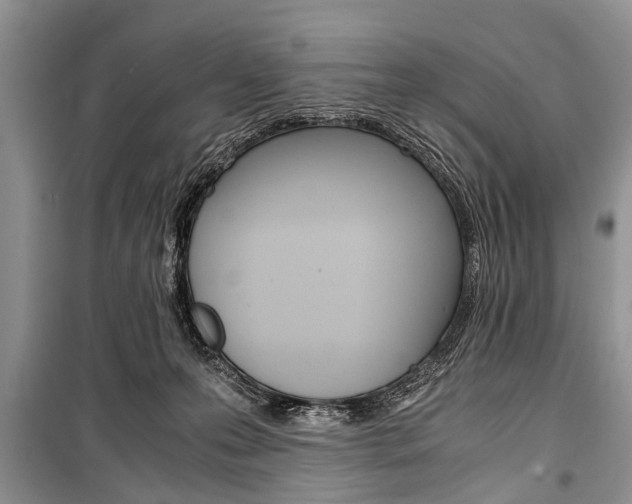 X0000101100223200806261052